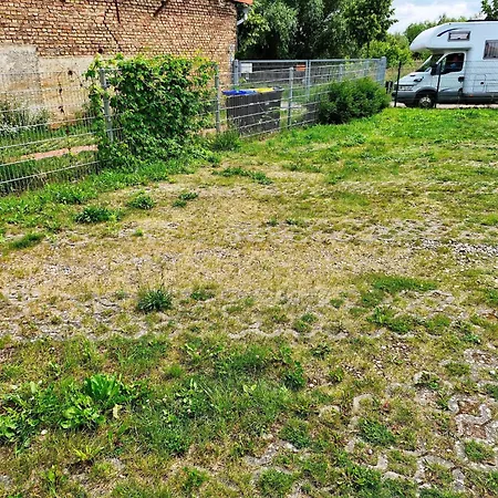 Kogge Im Zentrum Von * Röbel